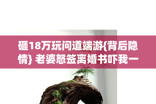砸18万玩问道端游{背后隐情} 老婆怒签离婚书吓我一跳 砸18万玩问道端游{背后隐情} 老婆怒签离婚书吓我一跳