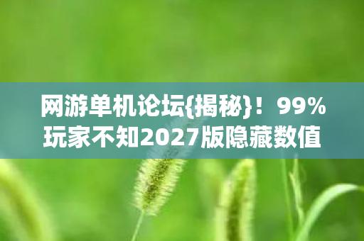 网游单机论坛{揭秘}!99%玩家不知2027版隐藏数值 网游单机论坛{揭秘}!99%玩家不知2027版隐藏数值