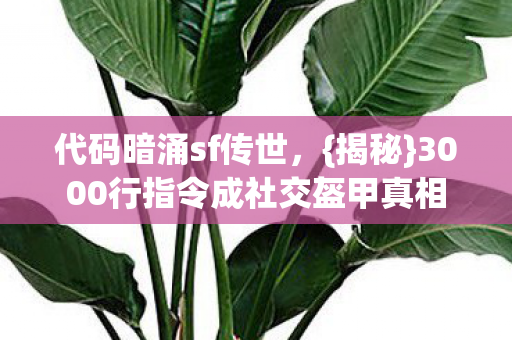 代码暗涌sf传世,{揭秘}3000行指令成社交盔甲真相 代码暗涌sf传世,{揭秘}3000行指令成社交盔甲真相