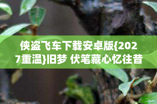 侠盗飞车下载安卓版{2027重温}旧梦 伏笔藏心忆往昔 侠盗飞车下载安卓版{2027重温}旧梦 伏笔藏心忆往昔