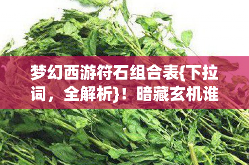 梦幻西游符石组合表{下拉词,全解析}!暗藏玄机谁破防? 梦幻西游符石组合表{下拉词,全解析}!暗藏玄机谁破防?
