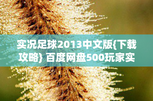 实况足球2013中文版{下载攻略} 百度网盘500玩家实测揭秘 实况足球2013中文版{下载攻略} 百度网盘500玩家实测揭秘