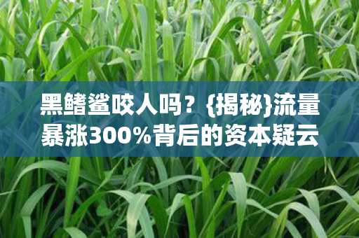 黑鳍鲨咬人吗？{揭秘}流量暴涨300%背后的资本疑云