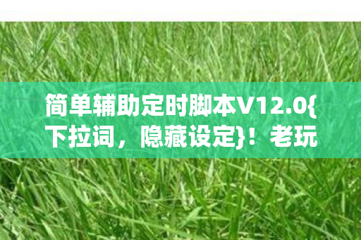 简单辅助定时脚本V12.0{下拉词,隐藏设定}!老玩家血赚揭秘 简单辅助定时脚本V12.0{下拉词,隐藏设定}!老玩家血赚揭秘