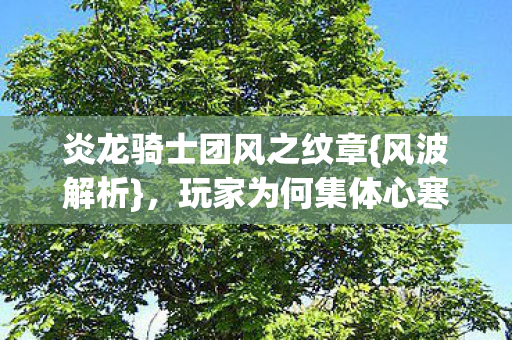 炎龙骑士团风之纹章{风波解析}，玩家为何集体心寒？