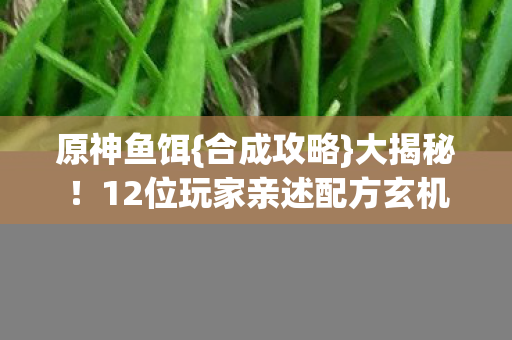原神鱼饵{合成攻略}大揭秘！12位玩家亲述配方玄机