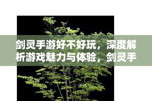 剑灵手游好不好玩,深度解析游戏魅力与体验,剑灵手游深度解析,游戏魅力与体验全揭秘 剑灵手游好不好玩,深度解析游戏魅力与体验,剑灵手游深度解析,游戏魅力与体验全揭秘