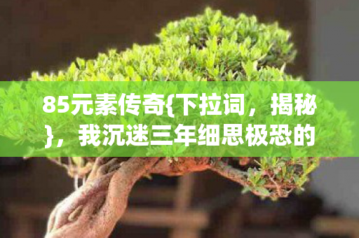 85元素传奇{下拉词,揭秘},我沉迷三年细思极恐的自我囚禁 85元素传奇{下拉词,揭秘},我沉迷三年细思极恐的自我囚禁