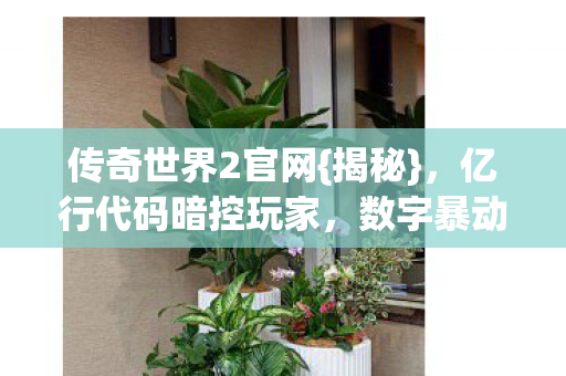 传奇世界2官网{揭秘}，亿行代码暗控玩家，数字暴动来袭