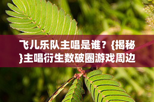 飞儿乐队主唱是谁？{揭秘}主唱衍生数破圈游戏周边狂潮