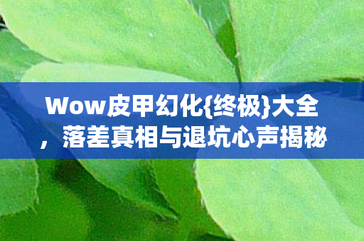 Wow皮甲幻化{终极}大全,落差真相与退坑心声揭秘 Wow皮甲幻化{终极}大全,落差真相与退坑心声揭秘