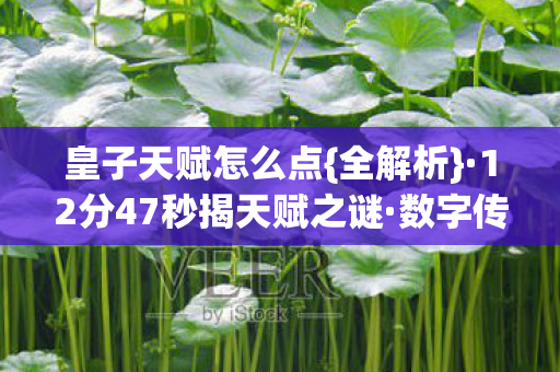 皇子天赋怎么点{全解析}·12分47秒揭天赋之谜·数字传奇 皇子天赋怎么点{全解析}·12分47秒揭天赋之谜·数字传奇