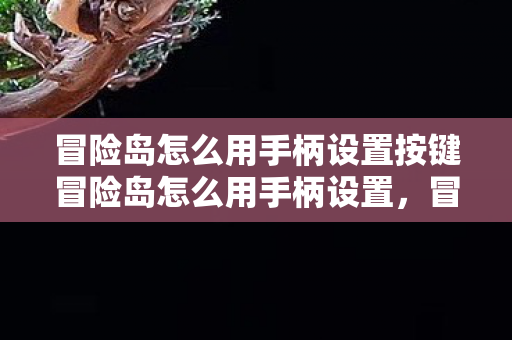 冒险岛怎么用手柄设置按键冒险岛怎么用手柄设置,冒险岛手柄按键设置指南 冒险岛怎么用手柄设置按键冒险岛怎么用手柄设置,冒险岛手柄按键设置指南