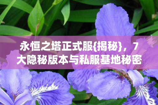 永恒之塔正式服{揭秘}，7大隐秘版本与私服基地秘密