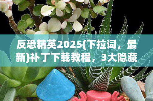 反恐精英2025{下拉词,最新}补丁下载教程,3大隐藏功能揭秘 反恐精英2025{下拉词,最新}补丁下载教程,3大隐藏功能揭秘