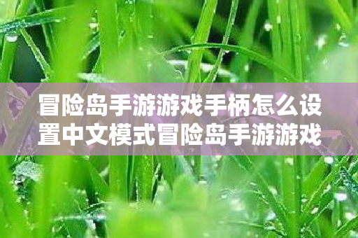 冒险岛手游游戏手柄怎么设置中文模式冒险岛手游游戏手柄中文设置指南,冒险岛手游游戏手柄中文设置指南 冒险岛手游游戏手柄怎么设置中文模式冒险岛手游游戏手柄中文设置指南,冒险岛手游游戏手柄中文设置指南