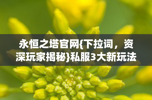 永恒之塔官网{下拉词,资深玩家揭秘}私服3大新玩法冲不冲? 永恒之塔官网{下拉词,资深玩家揭秘}私服3大新玩法冲不冲?