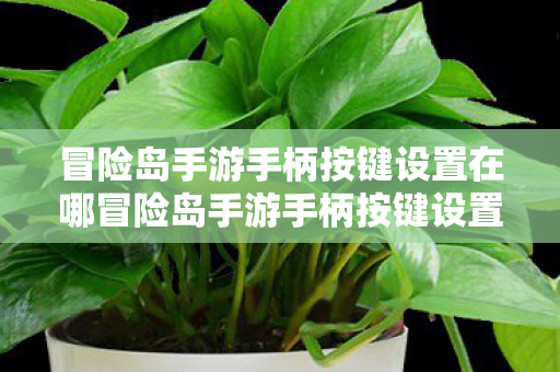 冒险岛手游手柄按键设置在哪冒险岛手游手柄按键设置优化指南，冒险岛手游手柄按键设置优化指南