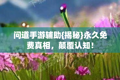 问道手游辅助{揭秘}永久免费真相,颠覆认知! 问道手游辅助{揭秘}永久免费真相,颠覆认知!