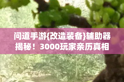 问道手游{改造装备}辅助器揭秘!3000玩家亲历真相 问道手游{改造装备}辅助器揭秘!3000玩家亲历真相
