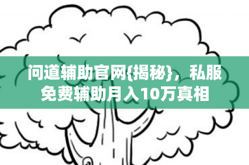 问道辅助官网{揭秘}，私服免费辅助月入10万真相