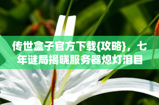 七年谜局揭晓服务器熄灯泪目图片