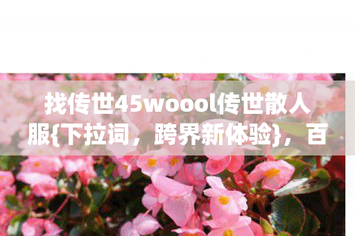 找传世45woool传世散人服图片