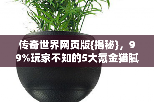 玩家不知的5大氪金猫腻图片