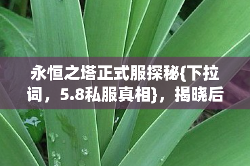 永恒之塔正式服探秘{下拉词，5.8私服真相}，揭晓后令人背脊发凉！