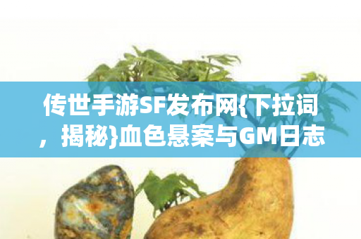 血色悬案与GM日志消失之谜图片