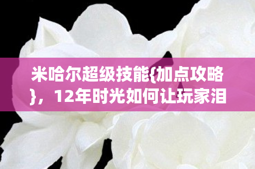 米哈尔超级技能{加点攻略},12年时光如何让玩家泪目? 米哈尔超级技能{加点攻略},12年时光如何让玩家泪目?