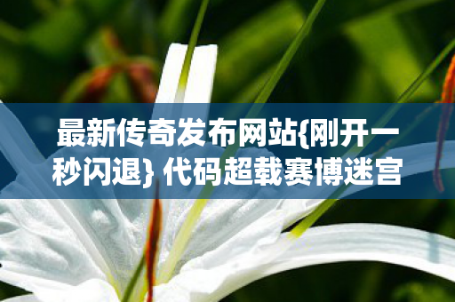 最新传奇发布网站{刚开一秒闪退} 代码超载赛博迷宫体验 最新传奇发布网站{刚开一秒闪退} 代码超载赛博迷宫体验