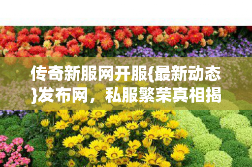 传奇新服网开服{最新动态}发布网,私服繁荣真相揭秘 传奇新服网开服{最新动态}发布网,私服繁荣真相揭秘