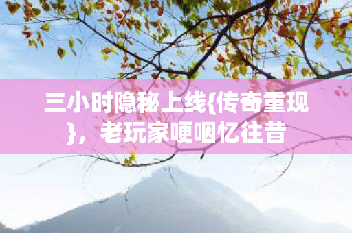 三小时隐秘上线{传奇重现},老玩家哽咽忆往昔 三小时隐秘上线{传奇重现},老玩家哽咽忆往昔