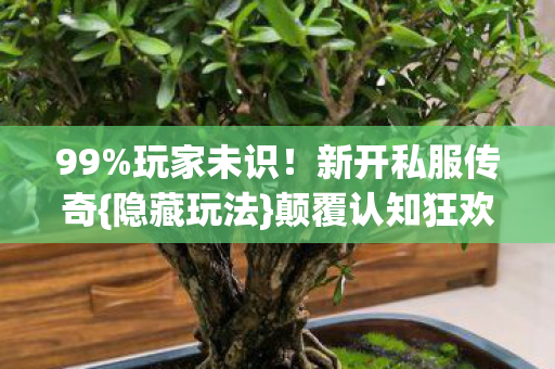 99%玩家未识!新开私服传奇{隐藏玩法}颠覆认知狂欢 99%玩家未识!新开私服传奇{隐藏玩法}颠覆认知狂欢