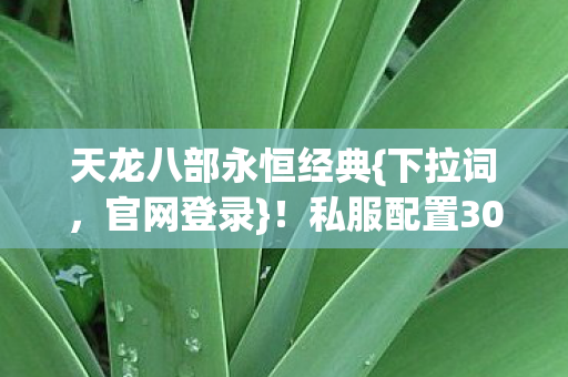 私服配置300万背后隐情图片
