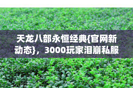 3000玩家泪崩私服活动疑云图片