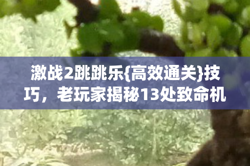 激战2跳跳乐{高效通关}技巧,老玩家揭秘13处致命机关 激战2跳跳乐{高效通关}技巧,老玩家揭秘13处致命机关