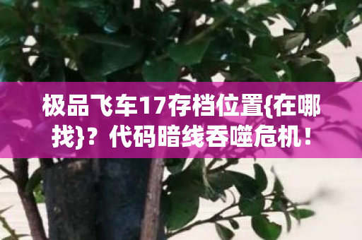 极品飞车17存档位置{在哪找}？代码暗线吞噬危机！