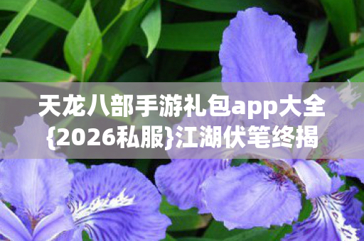 天龙八部手游礼包app大全图片