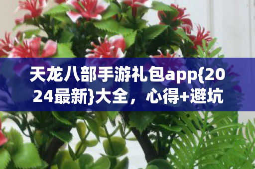 天龙八部手游礼包app图片