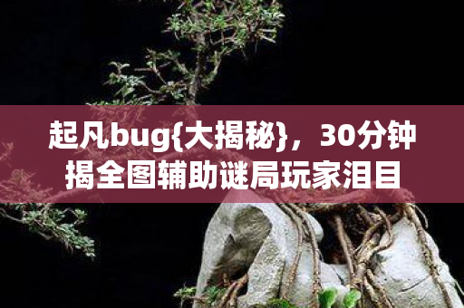 起凡bug{大揭秘},30分钟揭全图辅助谜局玩家泪目 起凡bug{大揭秘},30分钟揭全图辅助谜局玩家泪目