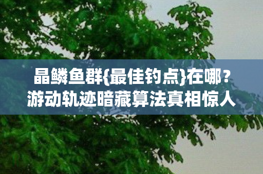 晶鳞鱼群{最佳钓点}在哪?游动轨迹暗藏算法真相惊人 晶鳞鱼群{最佳钓点}在哪?游动轨迹暗藏算法真相惊人