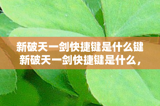 新破天一剑快捷键是什么键新破天一剑快捷键是什么,新破天一剑快捷键揭秘 新破天一剑快捷键是什么键新破天一剑快捷键是什么,新破天一剑快捷键揭秘