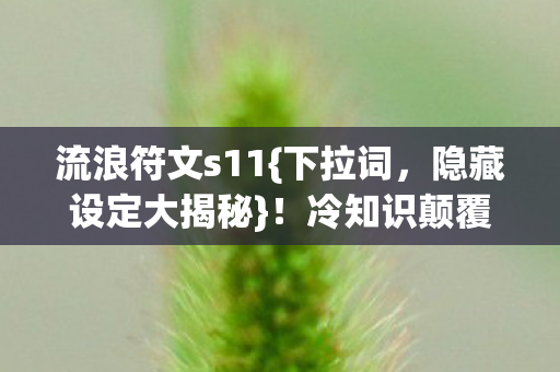 流浪符文s11{下拉词,隐藏设定大揭秘}!冷知识颠覆认知 流浪符文s11{下拉词,隐藏设定大揭秘}!冷知识颠覆认知