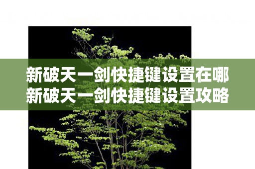 新破天一剑快捷键设置在哪新破天一剑快捷键设置攻略，新破天一剑快捷键设置攻略，轻松掌握游戏操作技巧