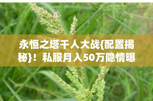 永恒之塔千人大战{配置揭秘}!私服月入50万隐情曝光 永恒之塔千人大战{配置揭秘}!私服月入50万隐情曝光