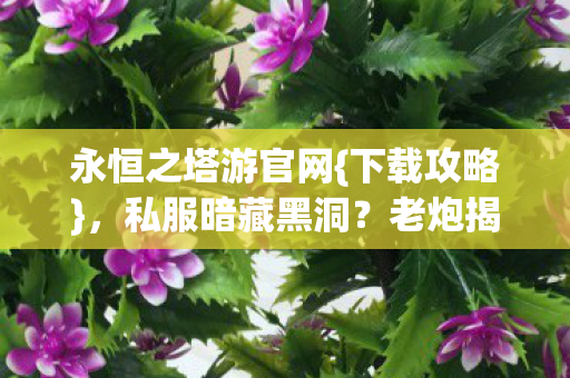 永恒之塔游官网{下载攻略},私服暗藏黑洞?老炮揭秘 永恒之塔游官网{下载攻略},私服暗藏黑洞?老炮揭秘
