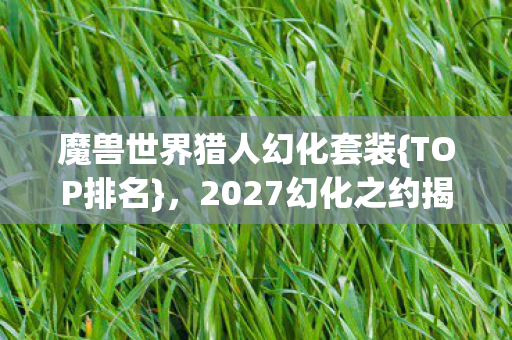 魔兽世界猎人幻化套装{TOP排名},2027幻化之约揭秘 魔兽世界猎人幻化套装{TOP排名},2027幻化之约揭秘