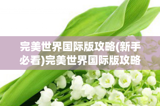 打造最强角色的全面指南图片